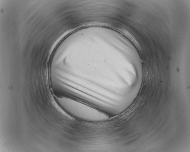 X0000077341092200611171826