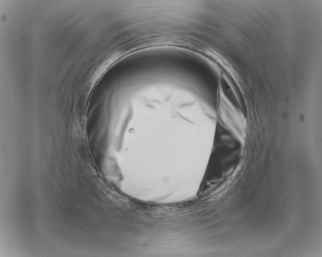 X0000077341097200611171826