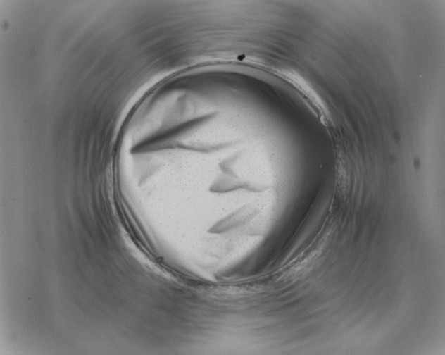 X0000077341100200611171826