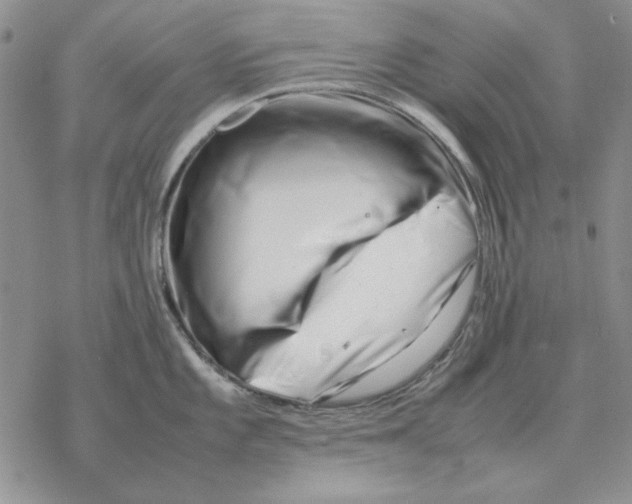 X0000077341101200611171826