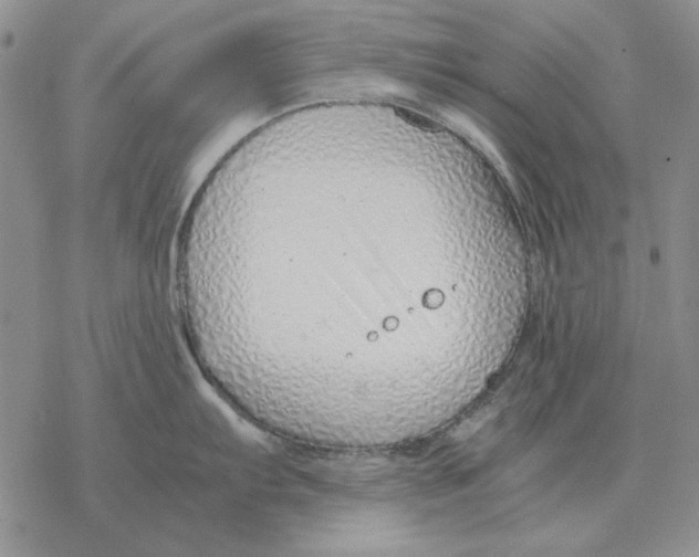 X0000077341103200611171826
