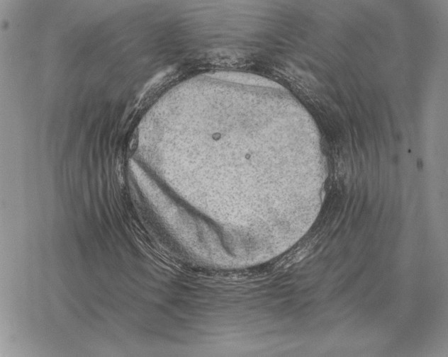 X0000077341106200611171825