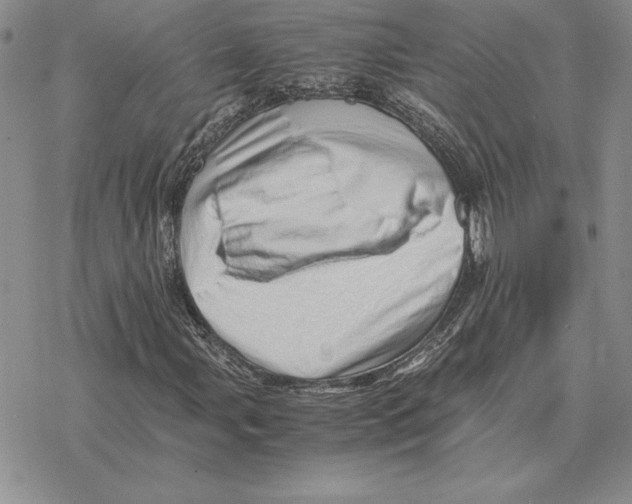 X0000077341107200611171825