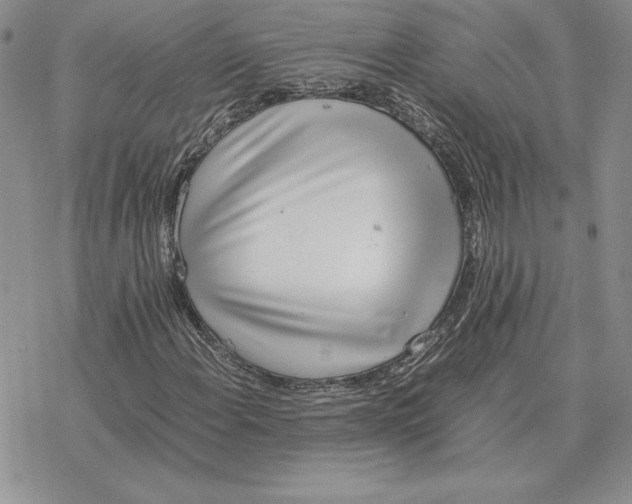 X0000077341108200611171825