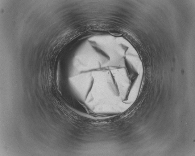 X0000077341111200611171825