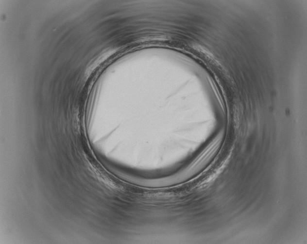 X0000077341113200611171825