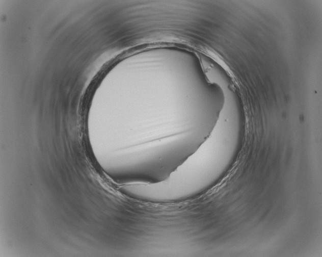 X0000077341116200611171825