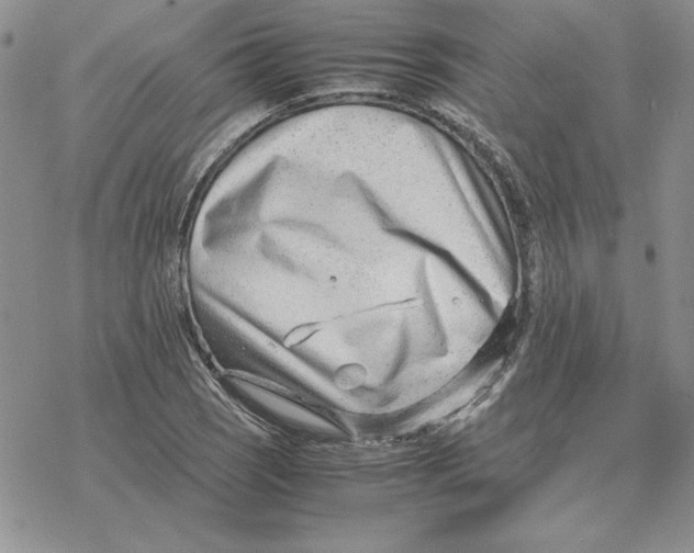 X0000077341121200611171826