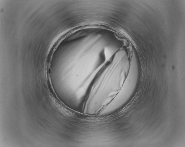 X0000077341124200611171826