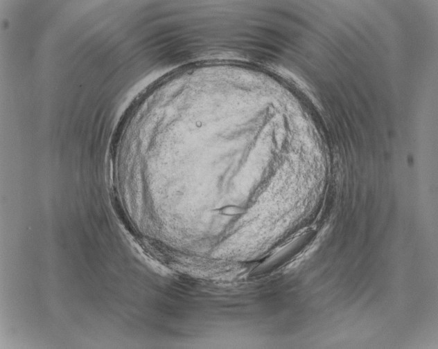 X0000077341125200611171826