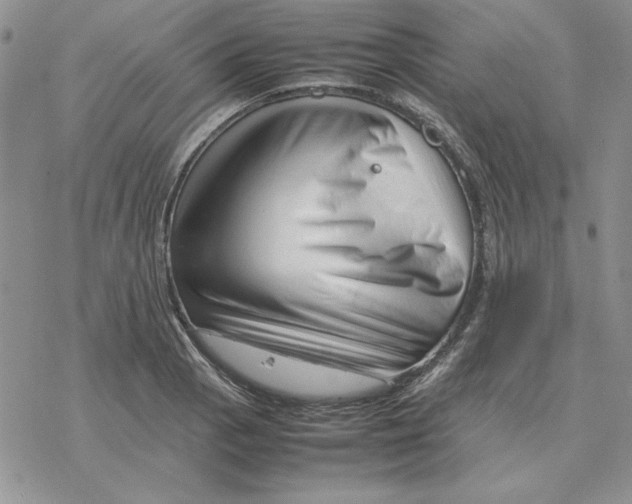 X0000077341129200611171826
