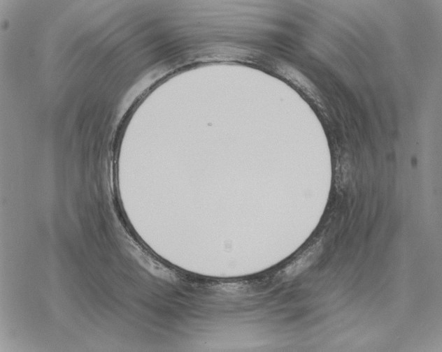 X0000077341130200611171826