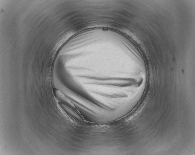 X0000077341137200611171826