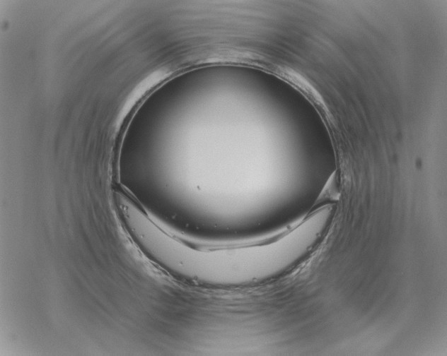 X0000077341138200611171826