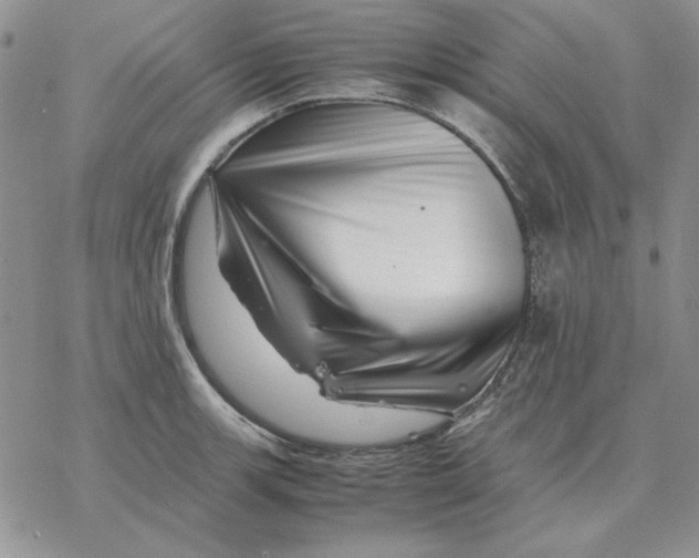 X0000077341139200611171826