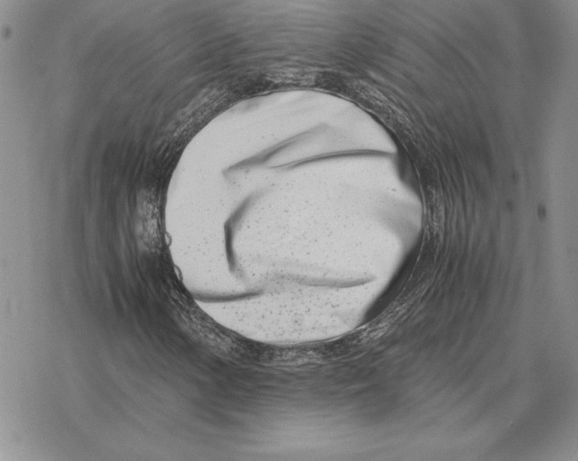 X0000077341154200611171825