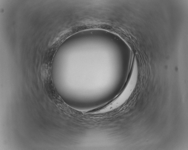 X0000077341157200611171825