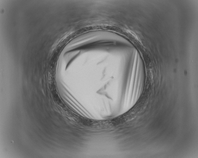 X0000077341159200611171825