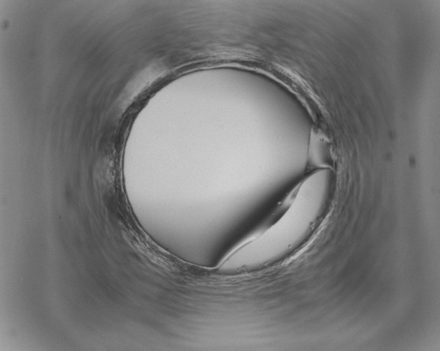 X0000077341163200611171825