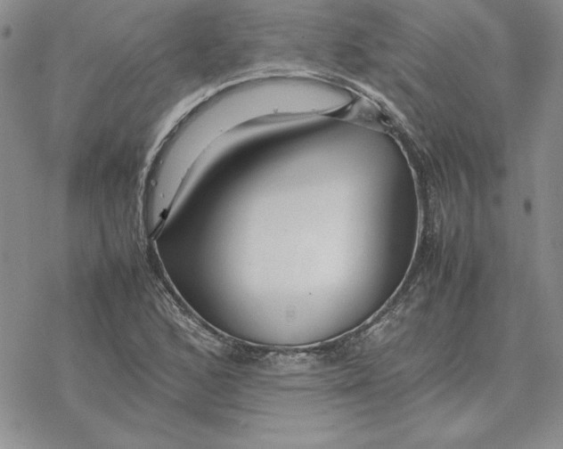 X0000077341168200611171825