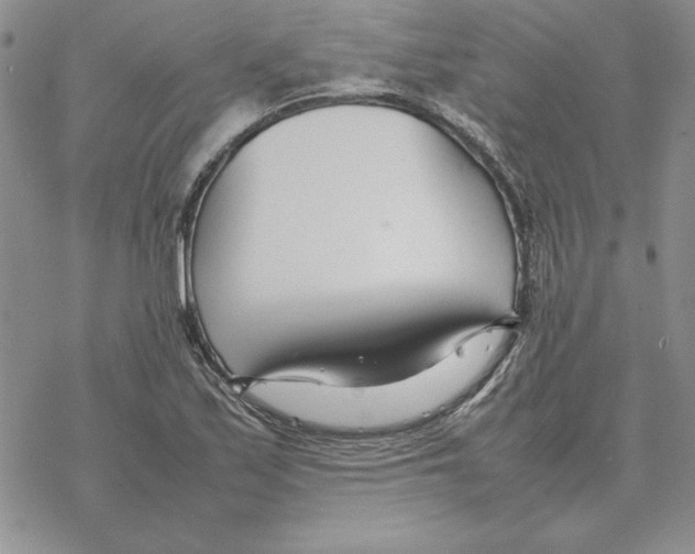 X0000077341171200611171825