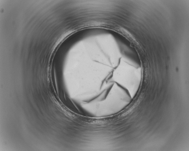 X0000077341178200611171825