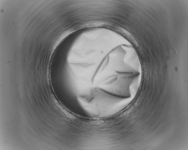 X0000077341186200611171825