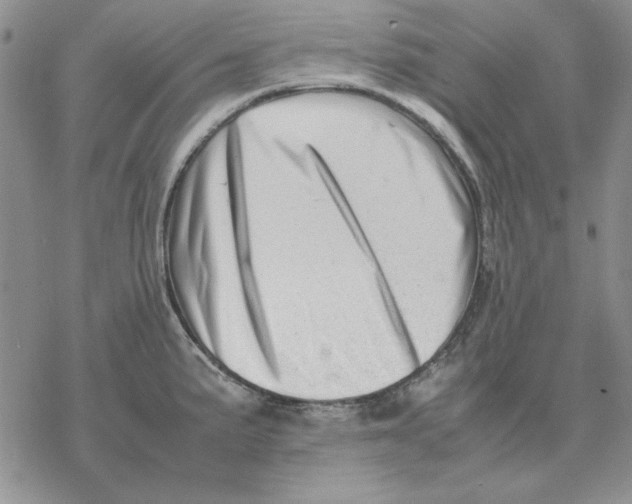 X0000077341191200611171825