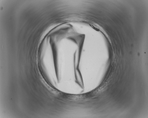 X0000077341195200611171825