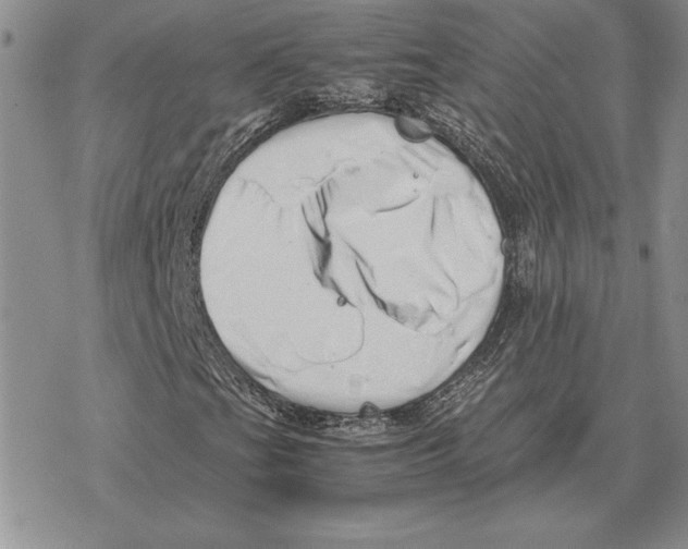 X0000077341201200611171824