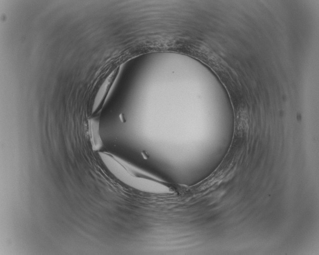 X0000077341202200611171824