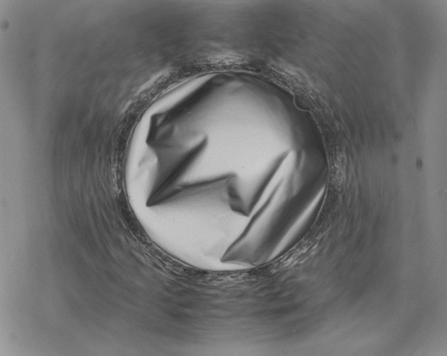 X0000077341205200611171824