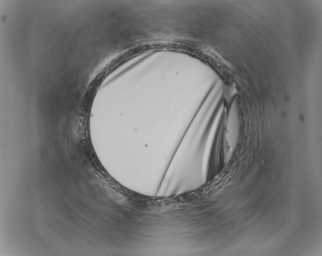 X0000077341208200611171824