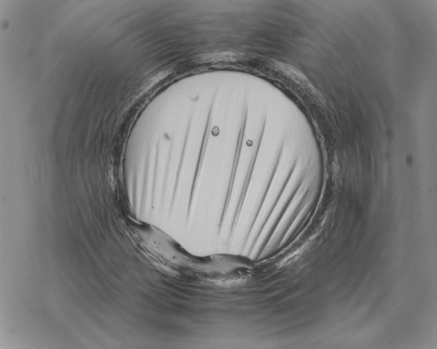 X0000077341209200611171824