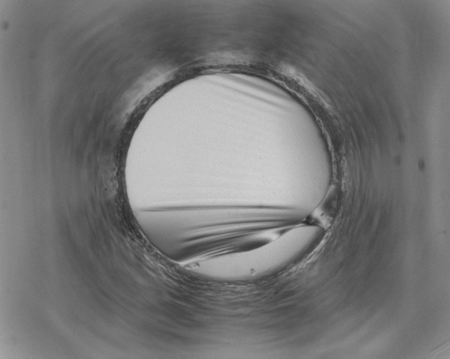 X0000077341213200611171824