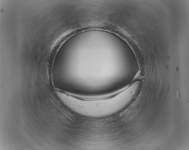 X0000077341214200611171824