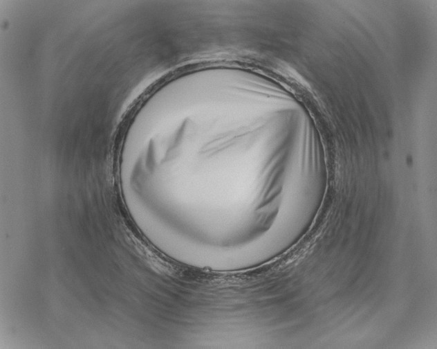 X0000077341216200611171824