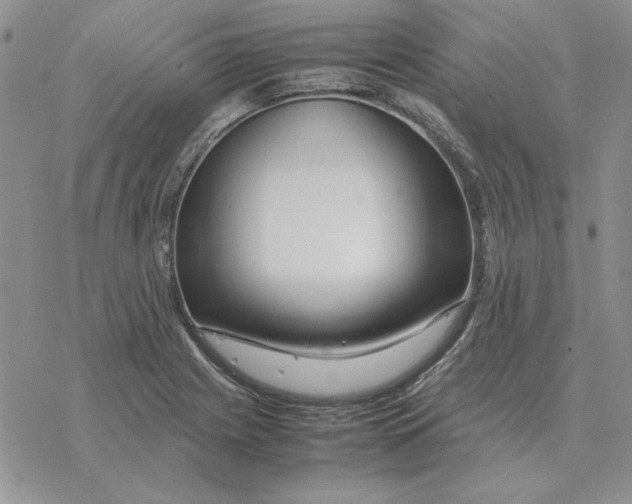 X0000077341225200611171824