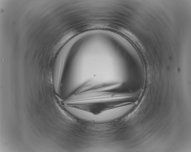 X0000077341241200611171824