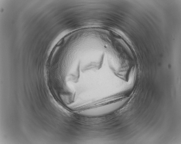 X0000077341243200611171824