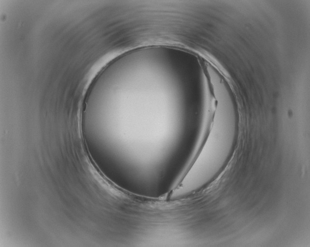 X0000077341246200611171824