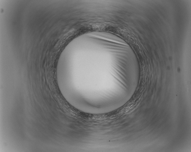 X0000077341249200611171824