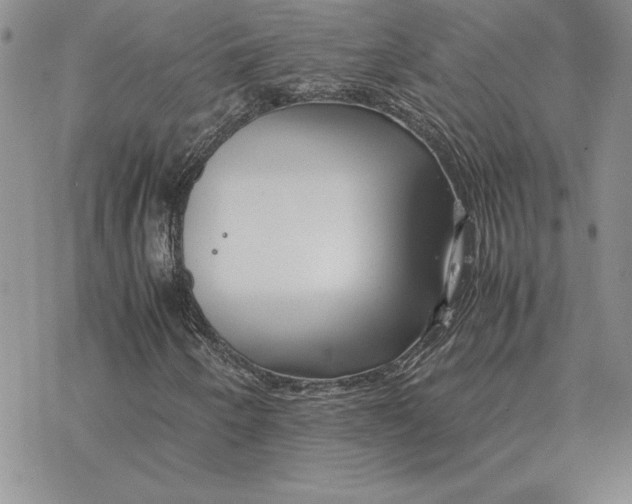 X0000077341250200611171824