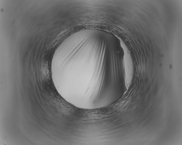 X0000077341252200611171824