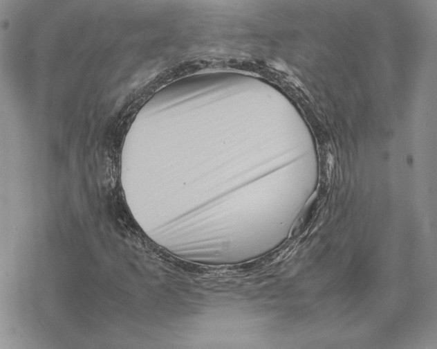 X0000077341253200611171824