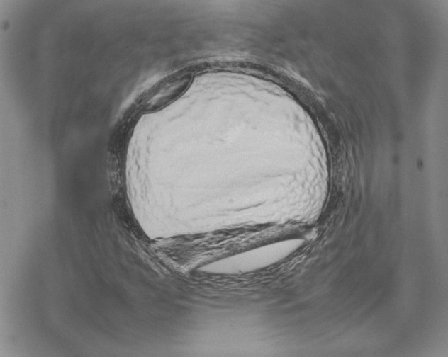 X0000077341255200611171824