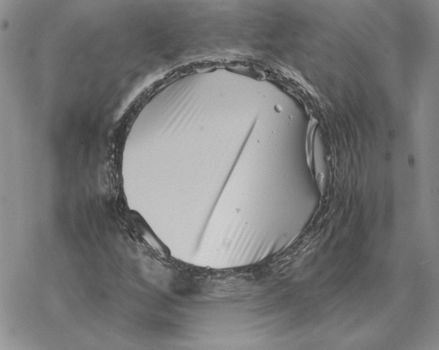 X0000077341256200611171824