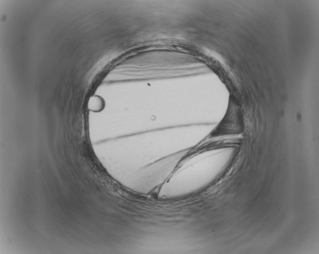 X0000077341267200611171823
