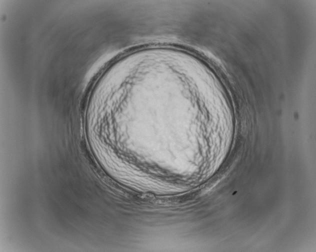 X0000077341271200611171823