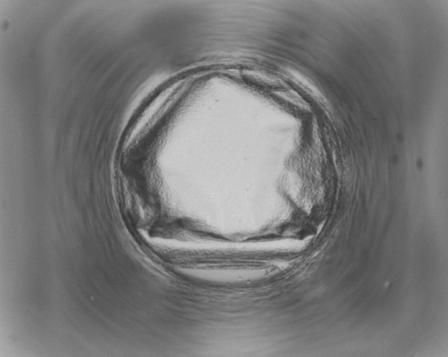 X0000077341283200611171823